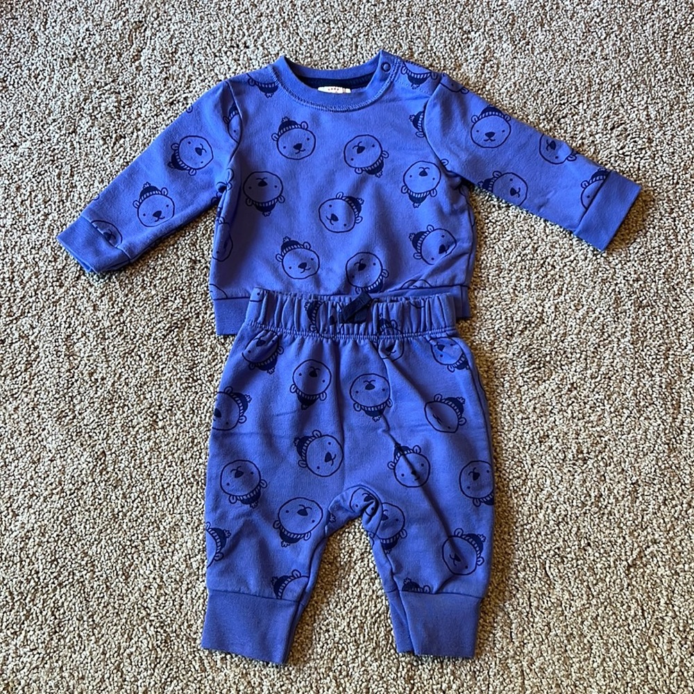 Cat & Jack Sweatsuit Outfit with Polar Bears